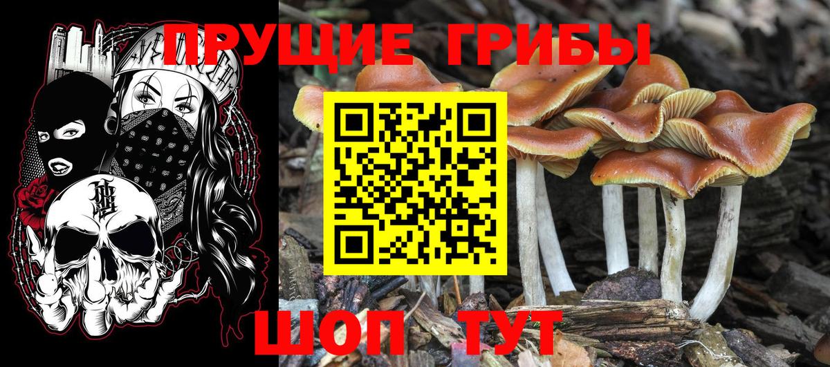 Галлюциногенные грибы GOLDEN TEACHER  Вход с VPN  Мурманск 
