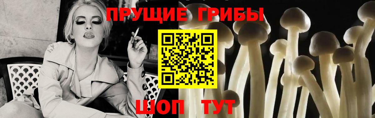 Галлюциногенные грибы мухоморы Мурманск